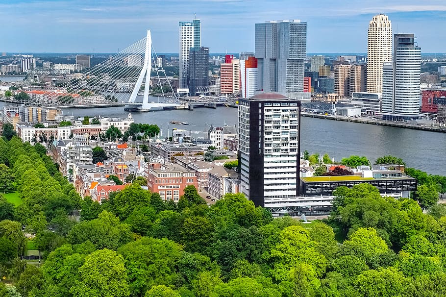 city, cityscape, aerial view, bridge, building, tower, landscape, panorama, rotterdam, netherlands