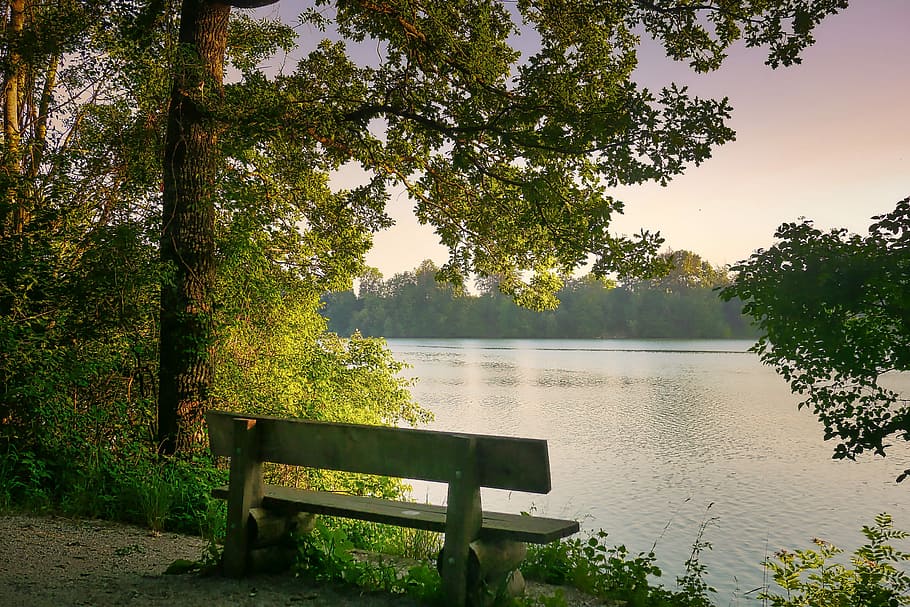 gray, park bench, front, lake, tree, nature, wood, bank, river, rest