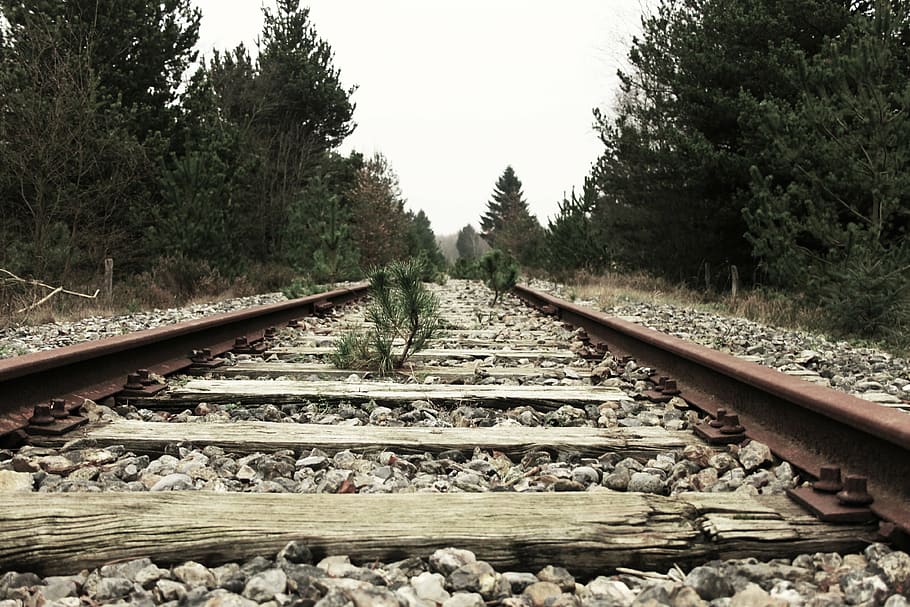 brown, metal rail track, trees, train, rail, rock, stone, outdoor, nature, tree