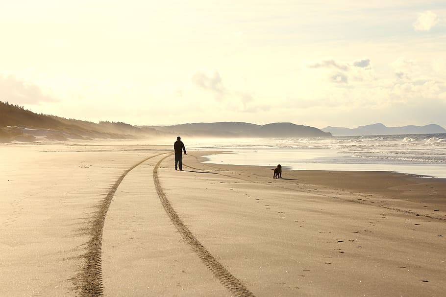 Lonely Planet, Perfection, person, walking, shoreline, dog, daytime, land, beach, real people