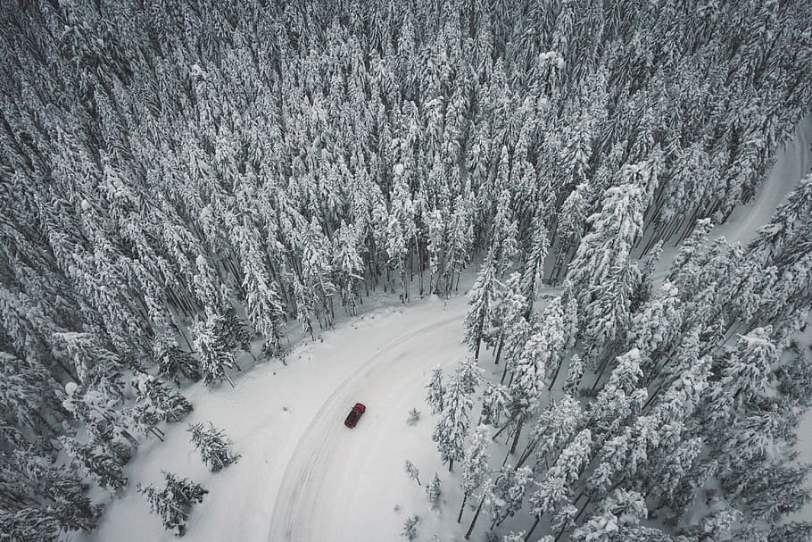 bird, eye view photo, red, car, curved, road, surrounded, trees, snow, winter