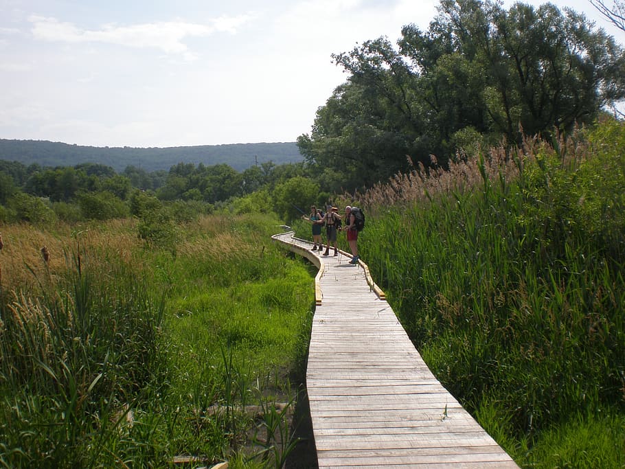 pochuck Creek, trilha dos Apalaches, Nova Jersey, paisagem, região selvagem, cenário, natural, selvagem, ao ar livre, meio ambiente