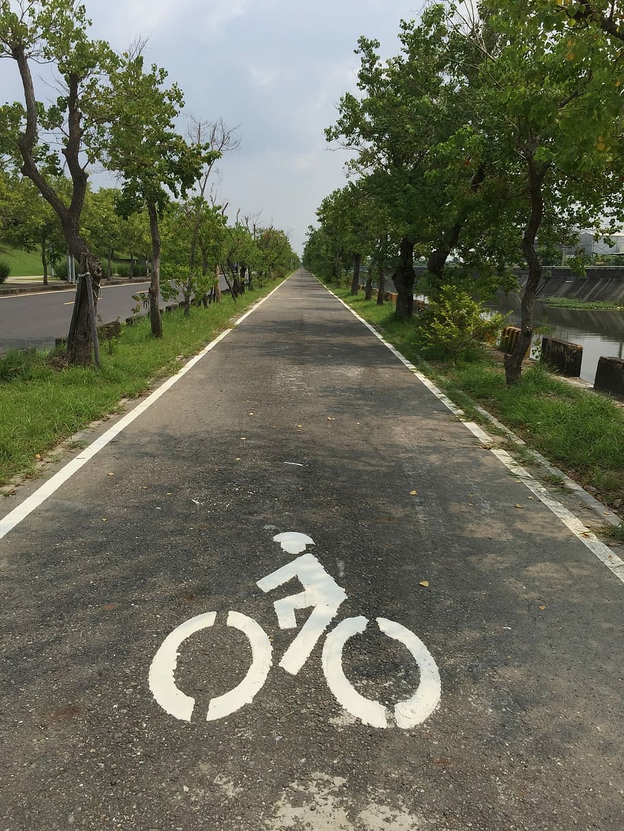 Bicicleta, coche, carretera, árboles, signo, calle, carril bici, asfalto, transporte, al aire libre
