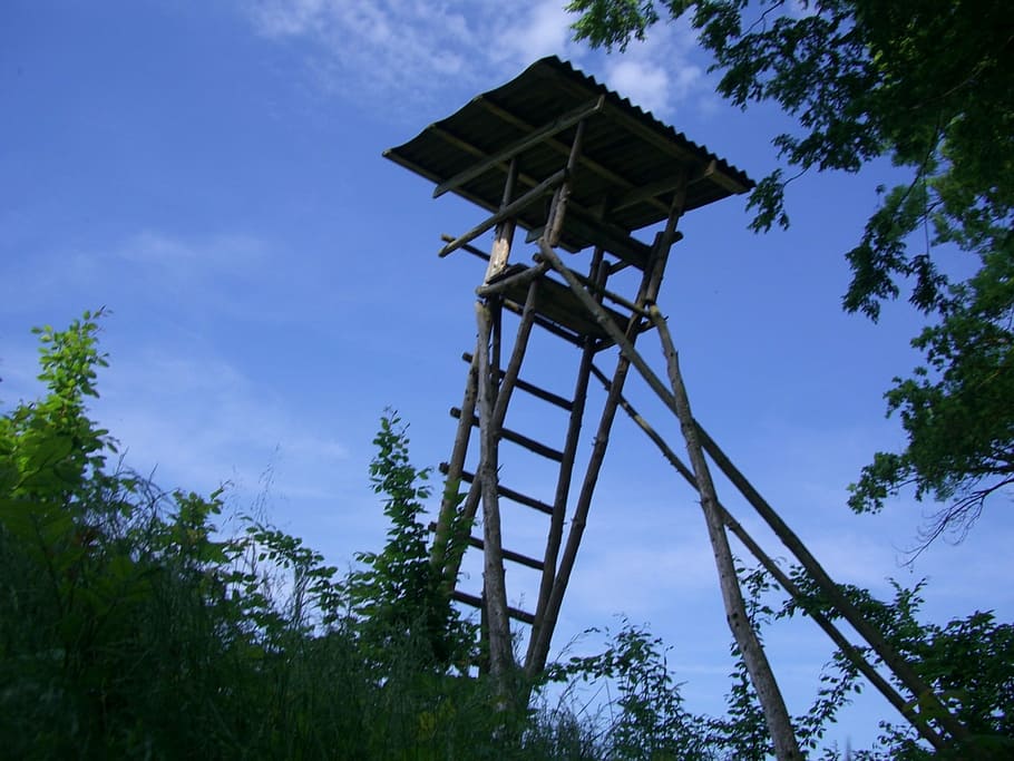 hunter was, delight, hunter seat, wooden tower, perch, sky blue, tree, low angle view, sky, plant