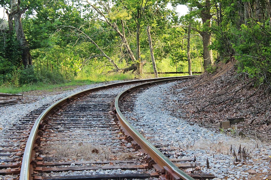 shenandoah valley, virginia, railroad, tracks, bend, turn, path, farmville, tree, rail transportation