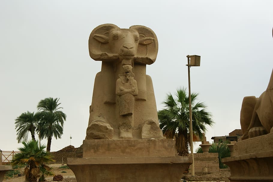 luxor, egypt, karnak, architecture, palm tree, sculpture, tree, religion, tropical climate, belief