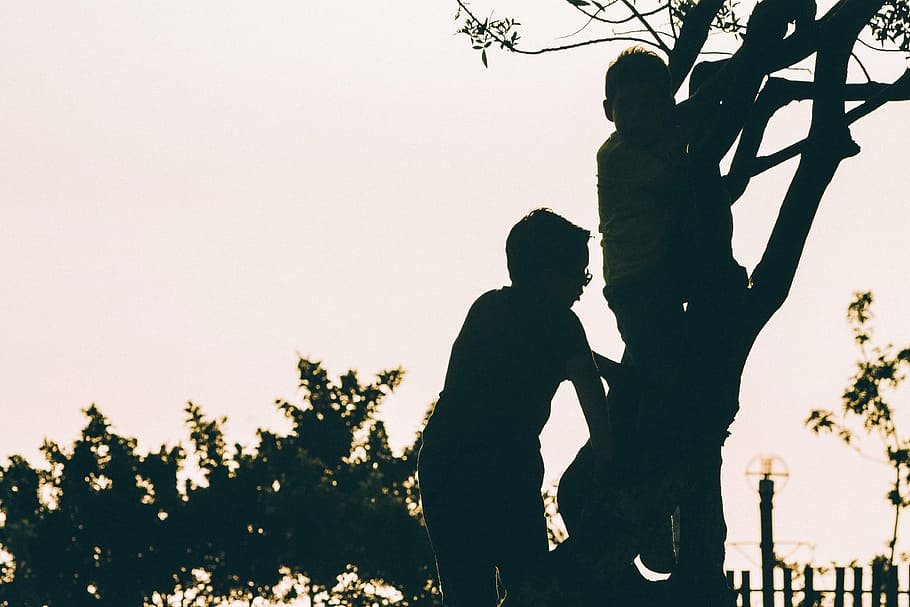 foto de silhueta, dois, meninos, escalada, árvore, silhueta, foto, menino, dia, tempo