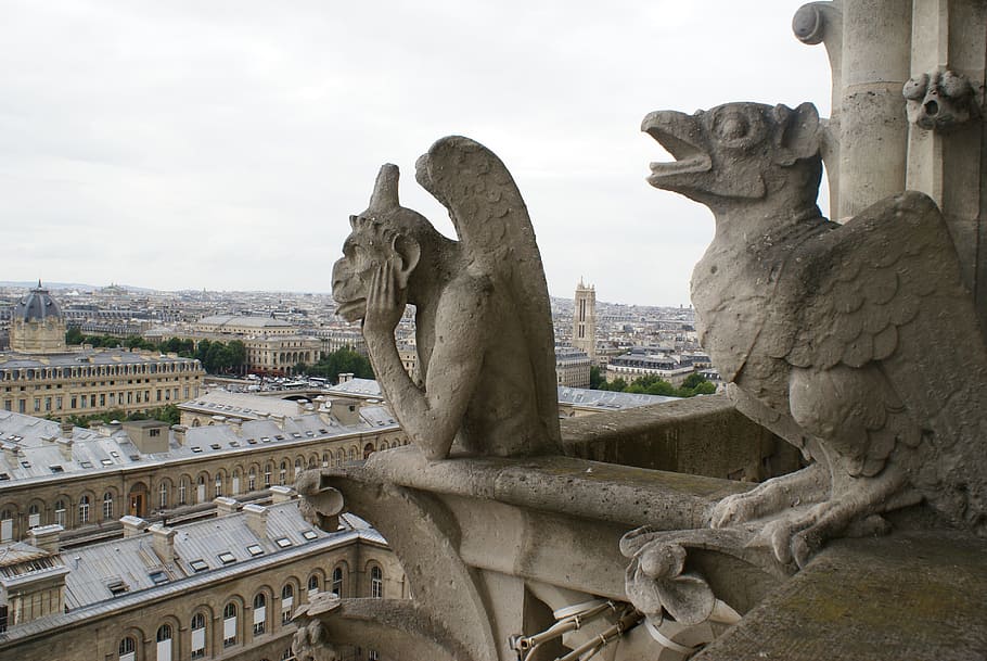 Notre Dame, París, Francia, Notre Dame De Paris, arquitectura, arquitectura histórica, capital, escultura, representación animal, historia