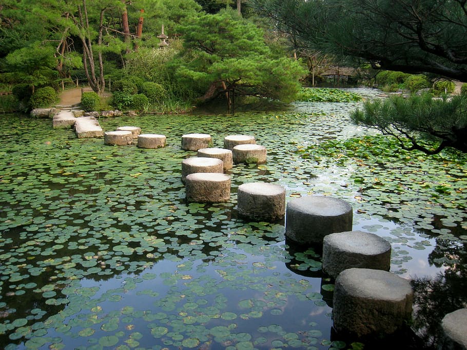 body, water, water lilies, stones, surrounded, trees, body of water, japanese garden, kyoto, japan
