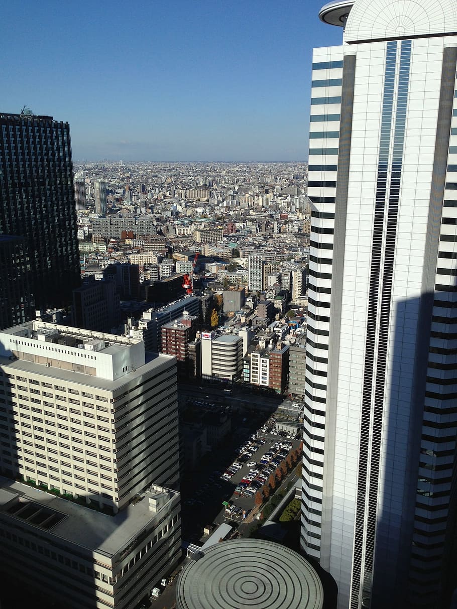 shinjuku ku, building, Shinjuku Ku, Building, buildings skyscrapers urban, skyscraper, cityscape, urban Skyline, urban Scene, city, building Exterior