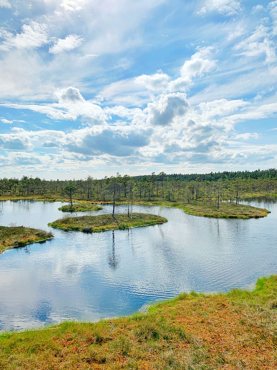 swamp, pond, latvia, waterscape, water, tranquility, cloud - sky, scenics - nature, tranquil scene, beauty in nature