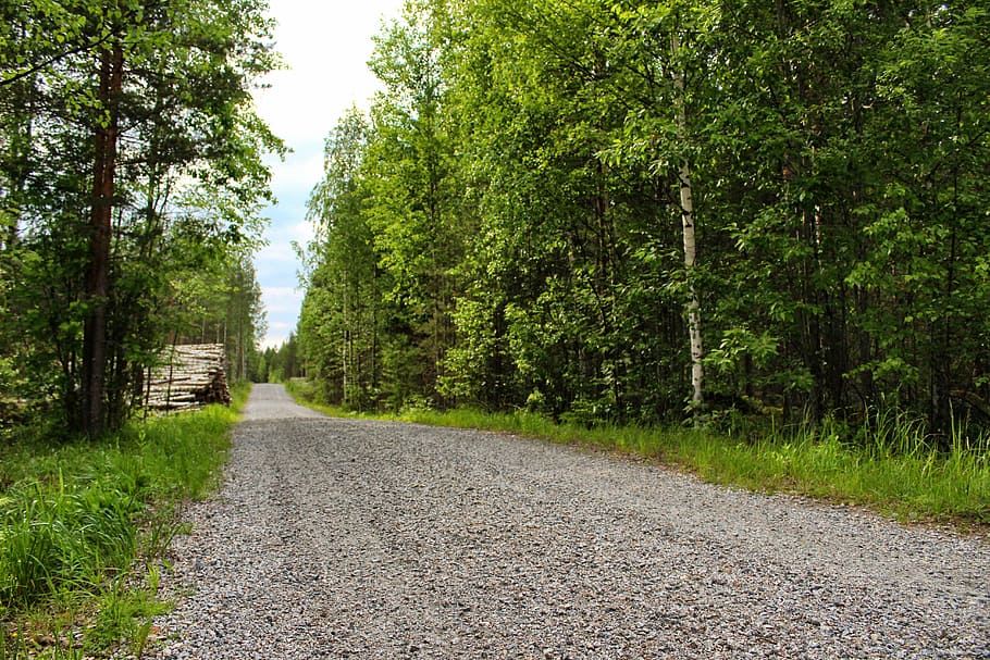 dirt road, finland, nature, road, dirt, forest, tree, terrain, green, gravel