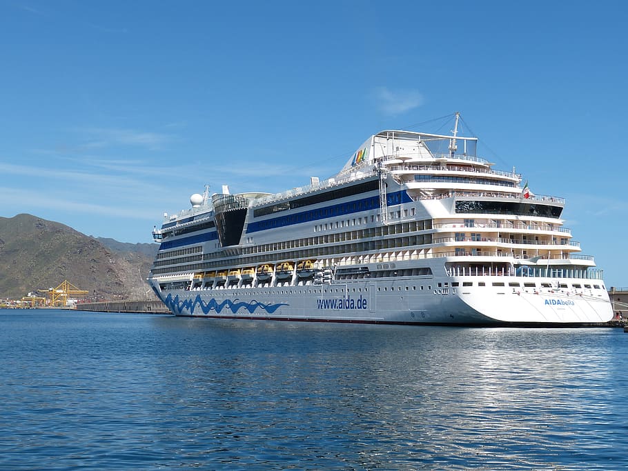 white, cruise ship, surrounded, body, water, cruise, ship, traffic, sea, port