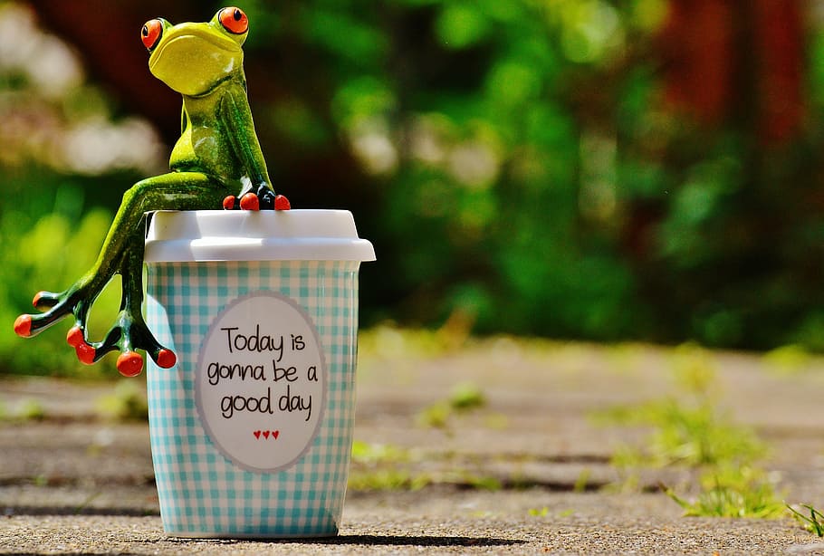 beautiful day, joy, frog, coffee, cup, happy, happiness, start, joy of life, life is beautiful