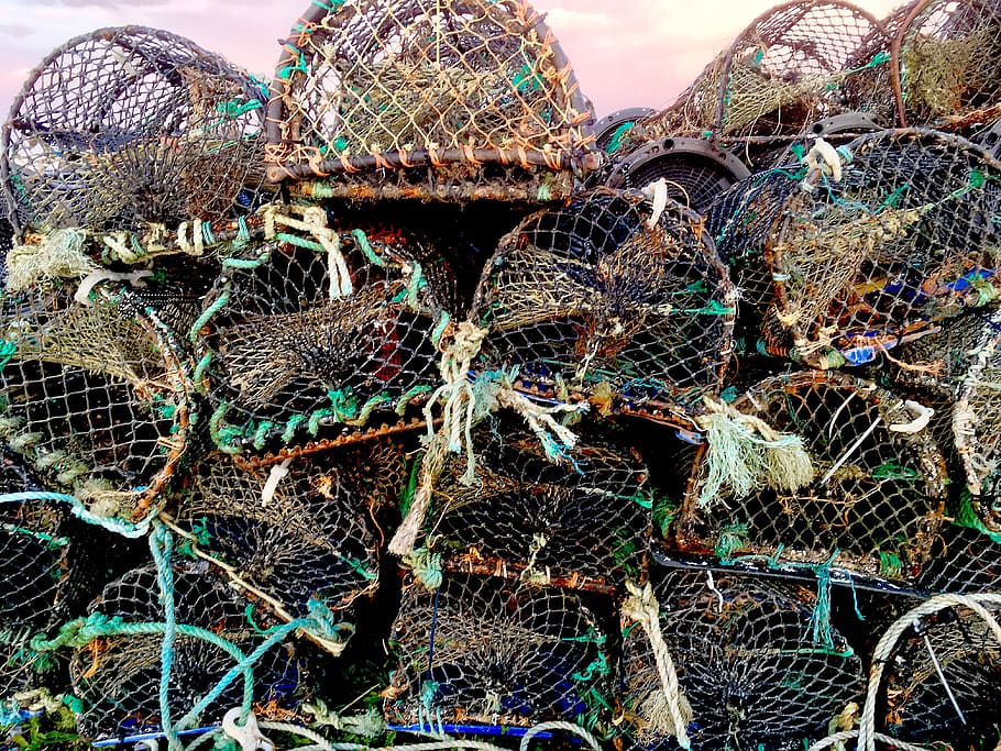 lobster pots, fishing, port, dock, galway, marine, trap, equipment, cage, crab