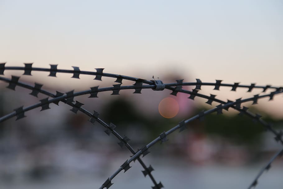 Barb Wire, Fence, Barbed Wire, wire, barbed, security, barrier, danger, sharp, protection
