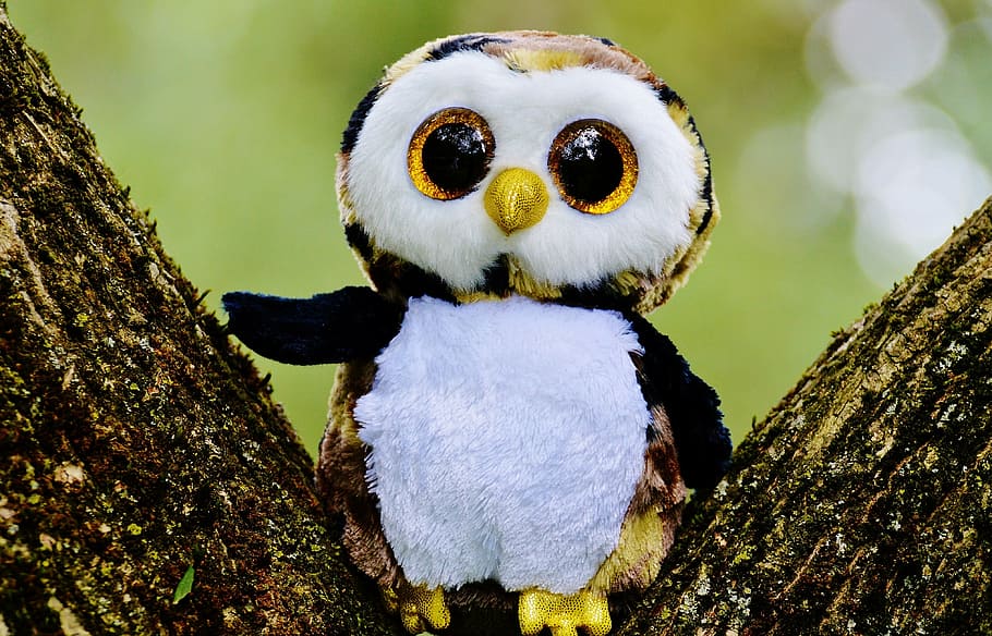 shallow, focus photography, white, yellow, owl, plush, toy, glitter, stuffed animal, cute