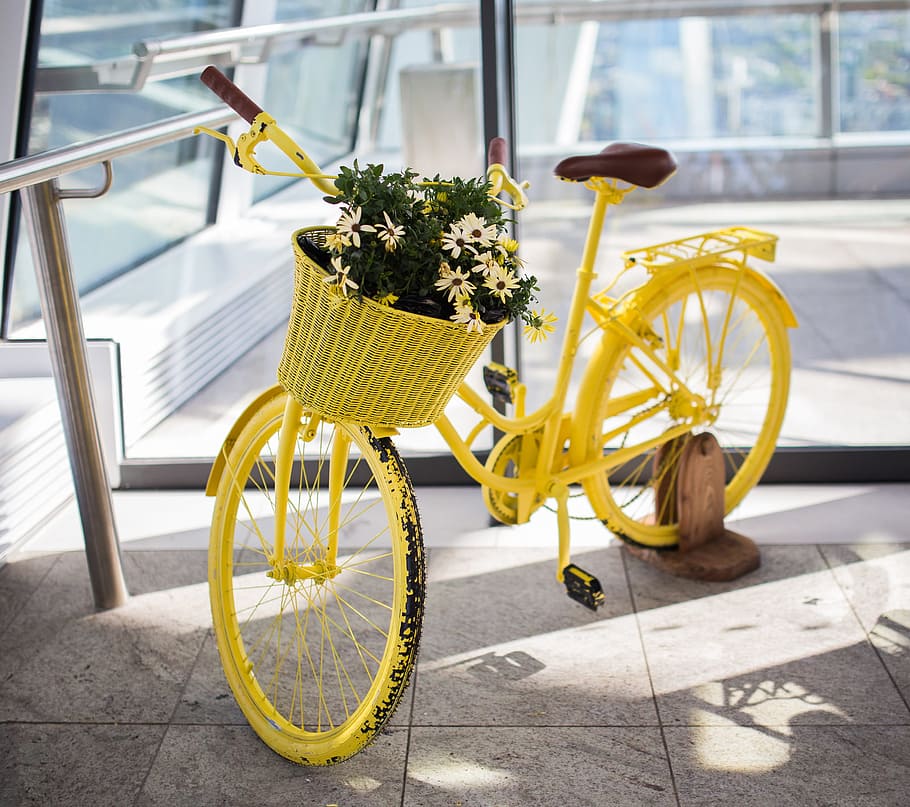 bike plants flowers, Yellow, Bike, Plants, Flowers, nature, bicycle, transportation, street, outdoors
