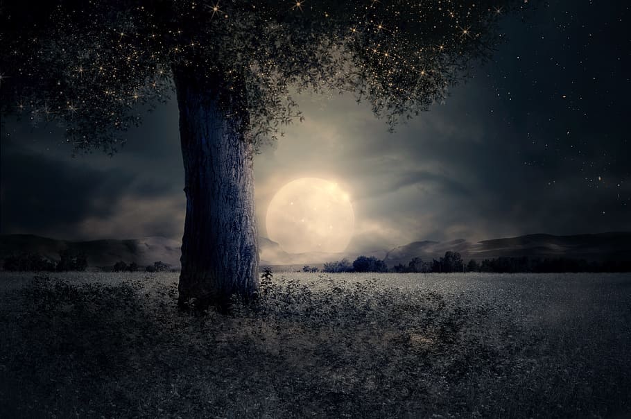 full, moon, green, foliage tree, field, night, landscape, tree, fairy tale, fantasy