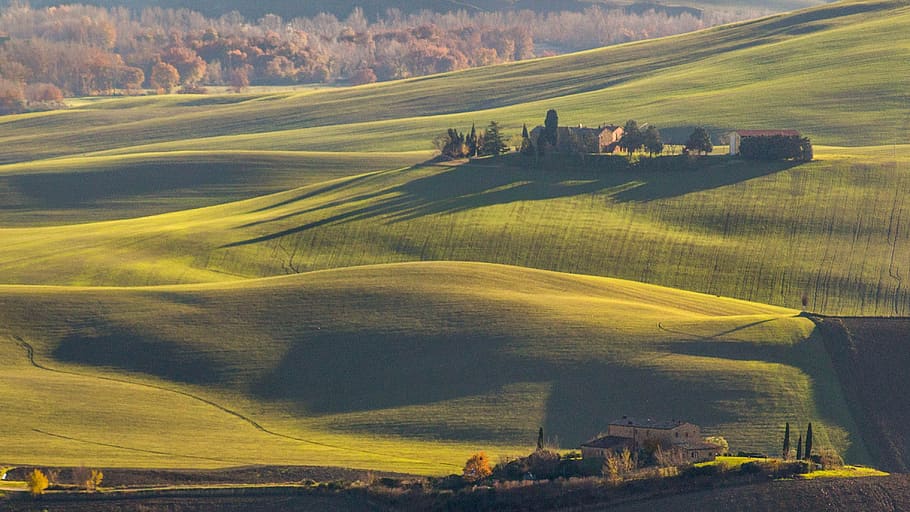 tuscany, italy, landscape, field, nature, green, panorama, tourism, outdoors, val d'orcia