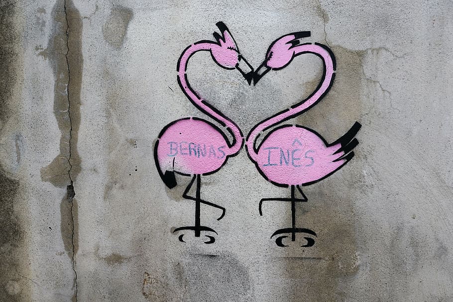 graffiti, painting, wall, ponta delgada, azores, portugal, flamingo, love, art, heart