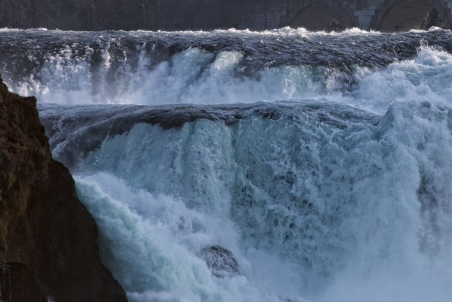 rhine falls, water mass, roaring, flood, neuhausen am rheinfall, switzerland, waterfall, water, motion, beauty in nature