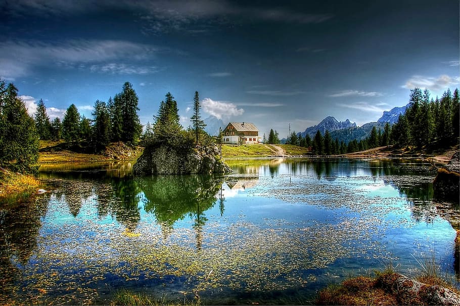 lake, trees scenery, lago federa, dolomites, nature, alpine, mountains, belluno, landscape, bergsee