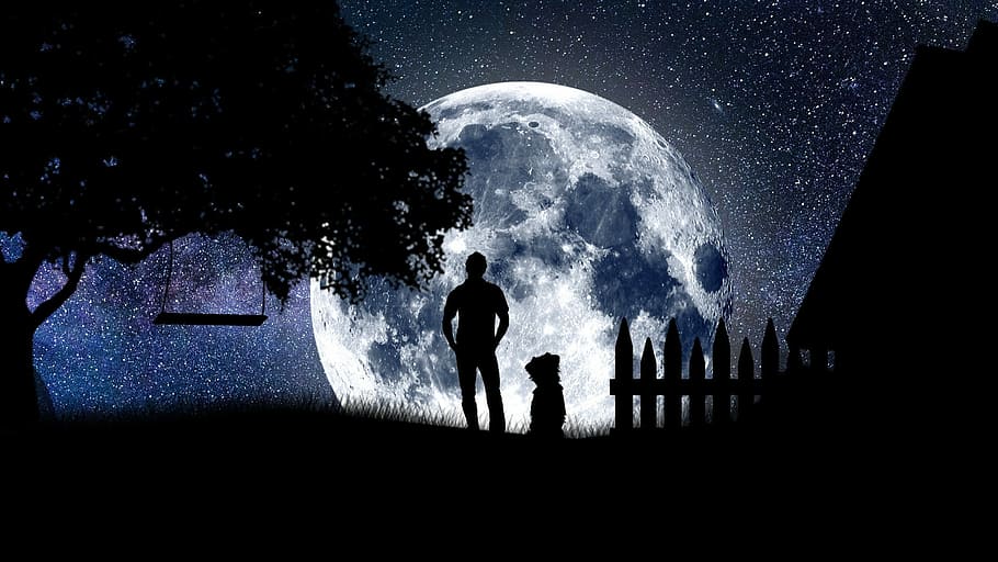 silhouette photo, person, standing, dog, watching, moon, nature, outdoors, people, no one