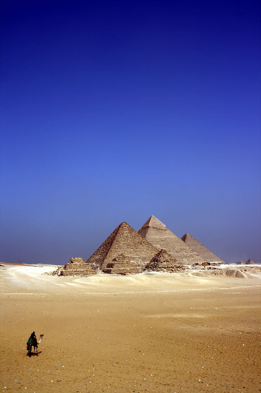 Egipto, desierto, animales, camellos, arena, estructuras, arquitectura, pirámide, cielo, azul