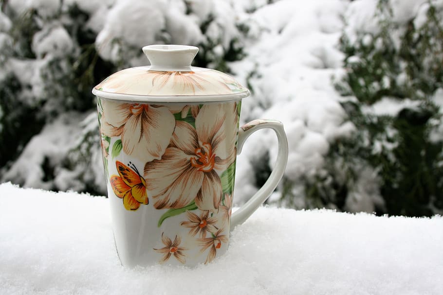 blanco, rosa, floral, taza, tapa, té, invierno, nieve, frío, en la corte de