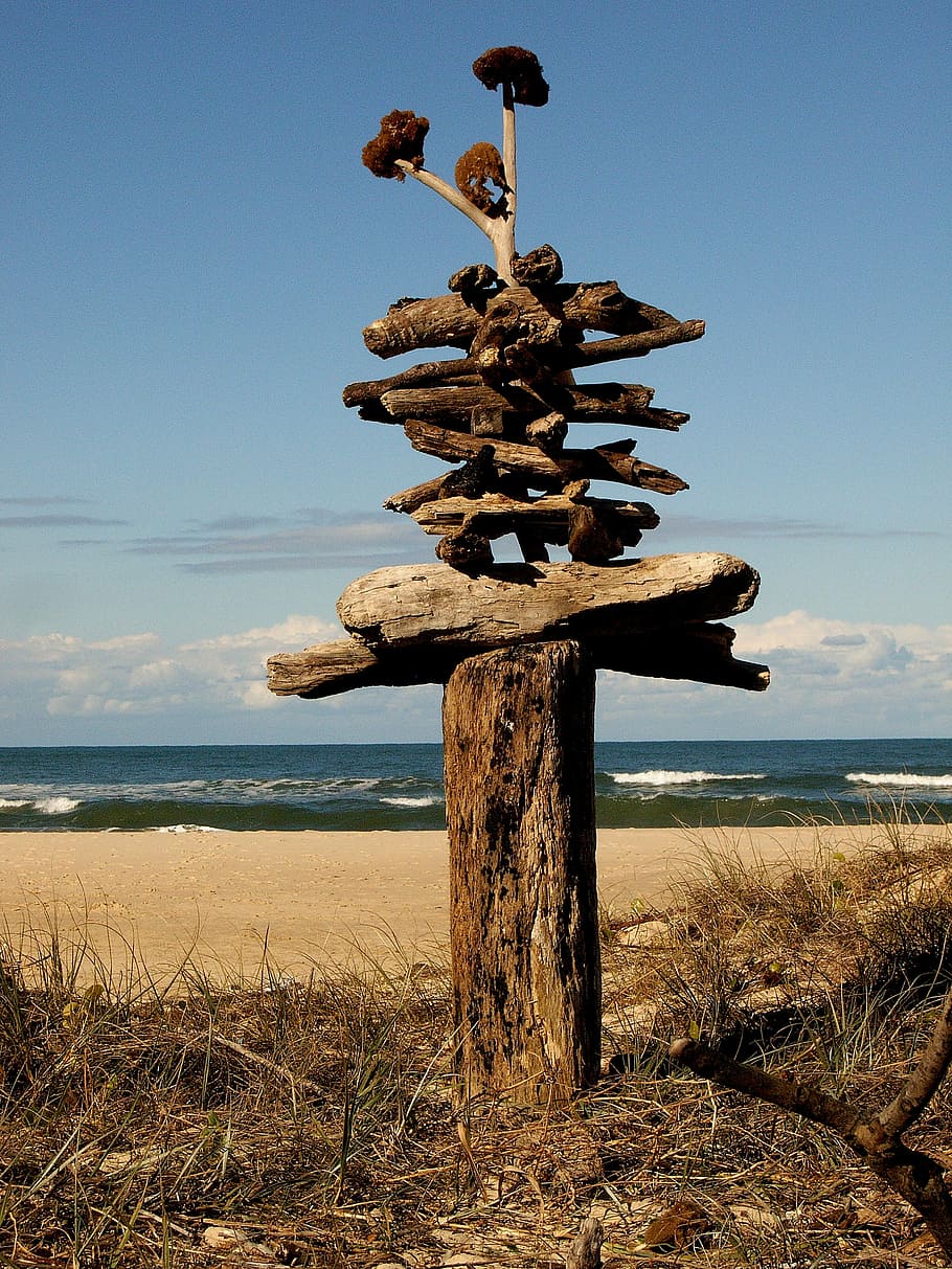 Beach, Driftwood, Seascape, Art, sculpture, sky, day, outdoors, nature, grass