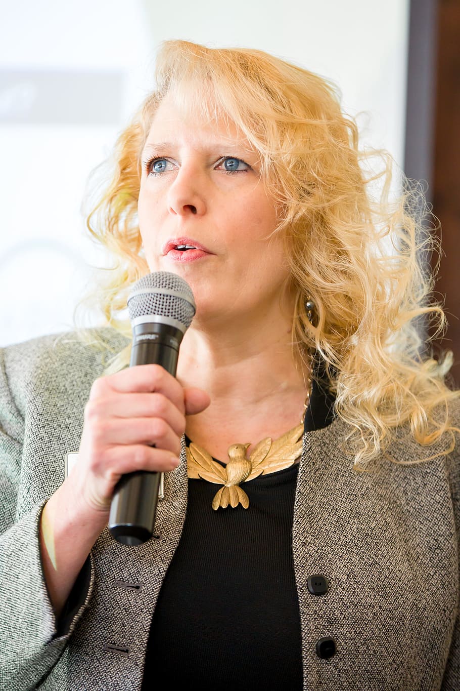 woman holding microphone, Speaker, Teaching, Training, Business, professional, seminar, meeting, conference, education