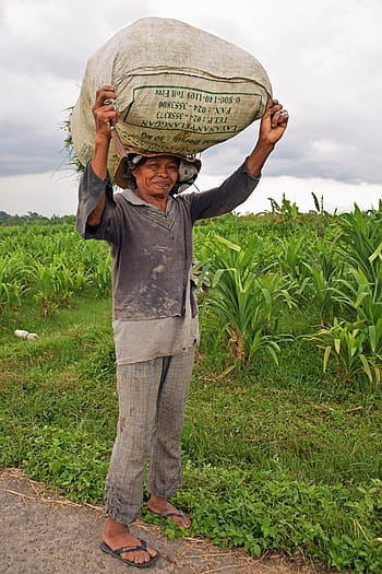 bali-indonesia-travel-rice-fields-royalty-free-thumbnail.jpg