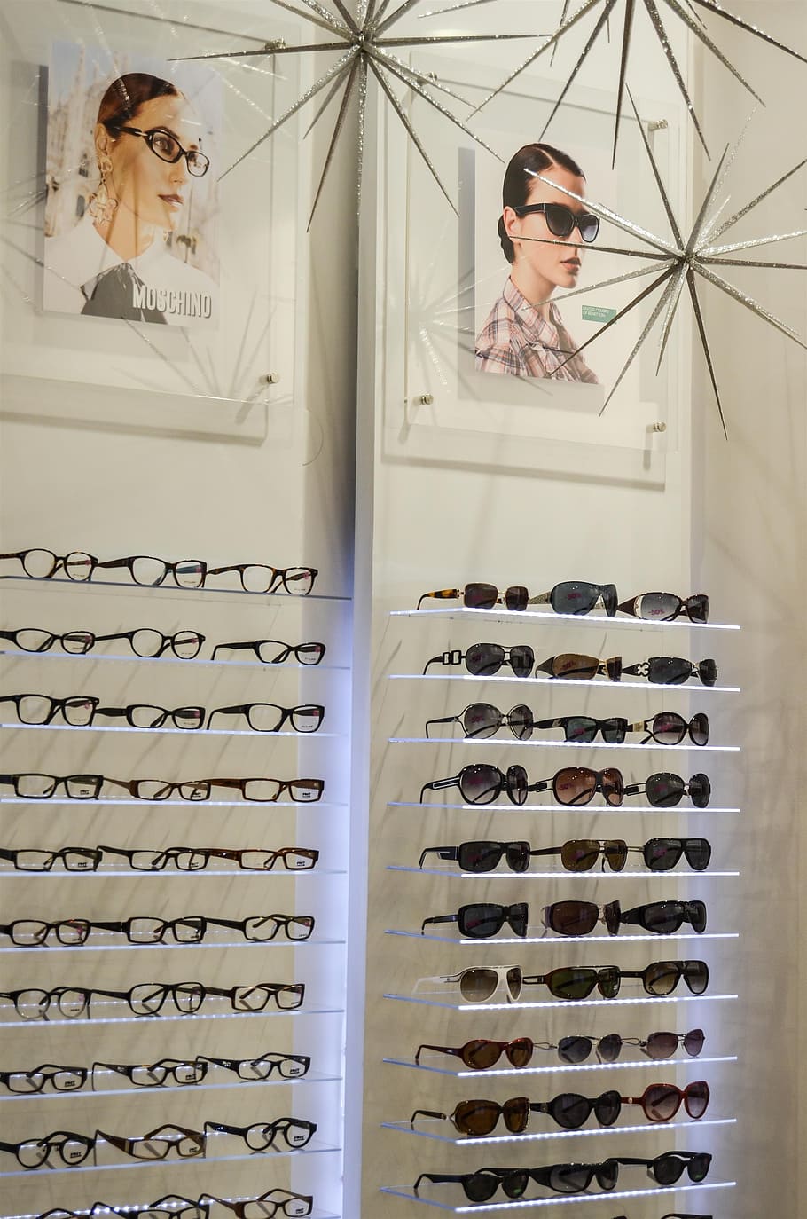 assorted-framed sunglasses, eyeglasses lot, shelves, Glasses, Optician, Exhibition, Lenses, sunglasses, only women, adult