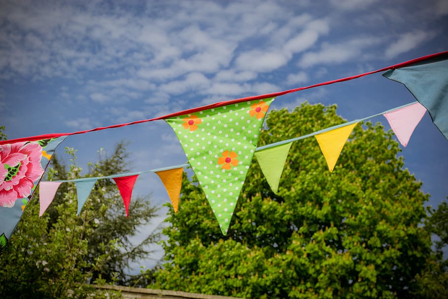 assorted-color buntings, green, leaf tree, bunting, flags, celebration, decoration, frill, occasion, country fair