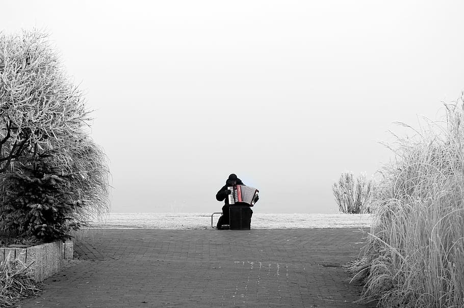 Frost, Winter, Cold, Accordion, Player, accordion player, bad zwischenahn, outdoors, people, rural Scene