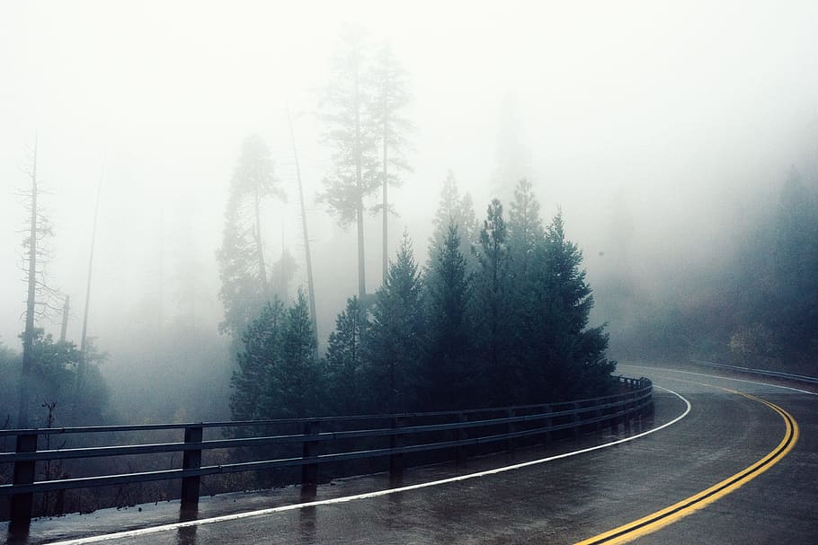 black, concrete, road photorgraphy, road, curve, wet, rainy, forest, fog, misty