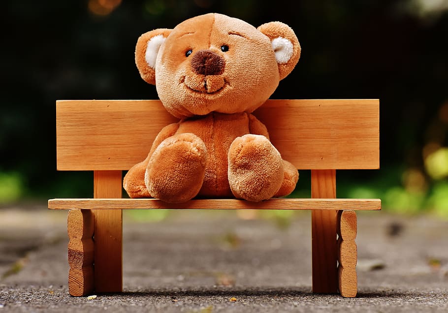 brown, teddy, bear, plush, ton, sitting, bench, bank, sit, teddy bear