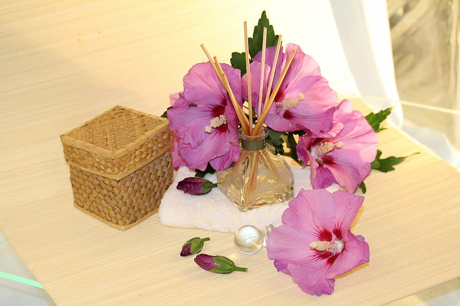 pink, hibiscus flower, beige, textile, wellness, fragrance, petal, blossom, bloom, flacon
