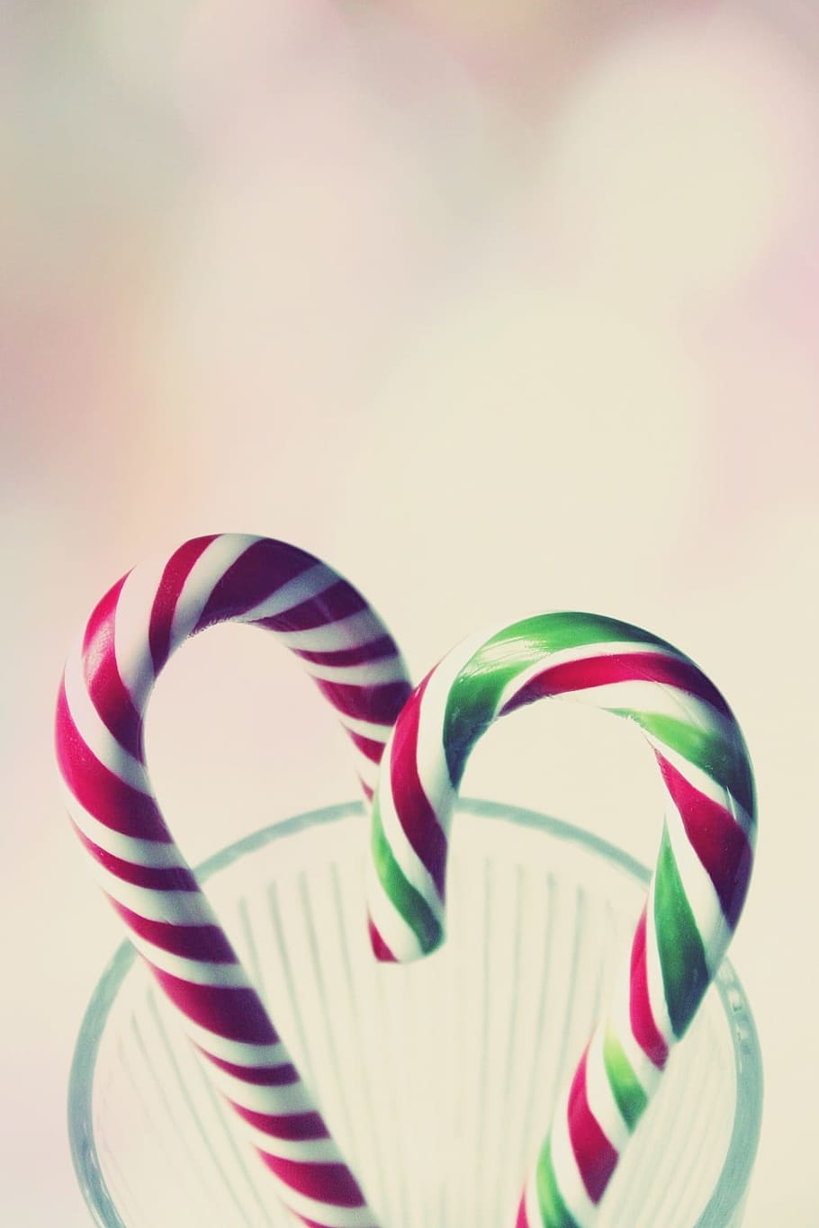 selective, focus photo, two, multicolored, candy cane, sweetness, sweet, sugar, christmas, treat