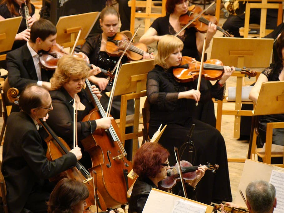 orquesta sinfónica, concierto, sala filarmónica, música, violín, violonchelo, instrumentos de cuerda, músico, interpretación, instrumento musical