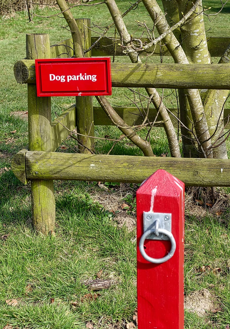 sign, symbol, red, canine, pet, dog, tie up, communication, grass, text