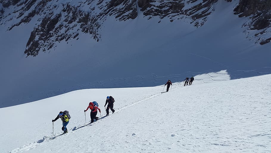 grup, orang-orang bermain ski, putih, bukit salju, siang hari, ski gunung, ski pedalaman, olahraga musim dingin, musim dingin, salju