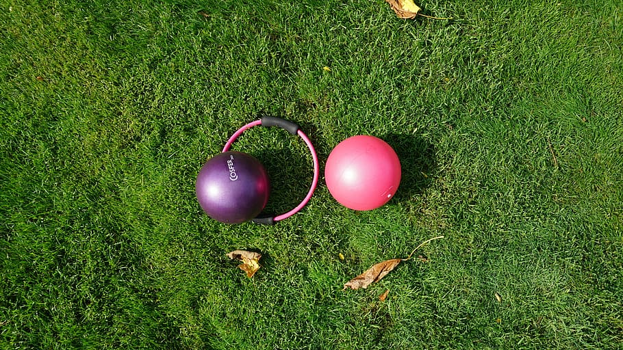 purple, pink, stability balls, outdoor, open space, green, sports, grass, pilates ball, circle