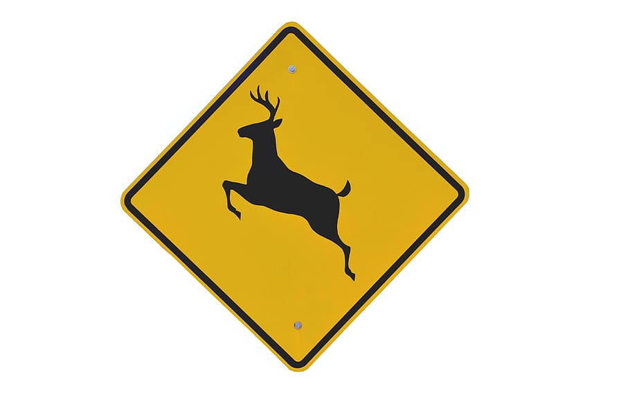Deer, Crossing, Sign, Wildlife, Caution, deer crossing, symbol, road, animal, warning