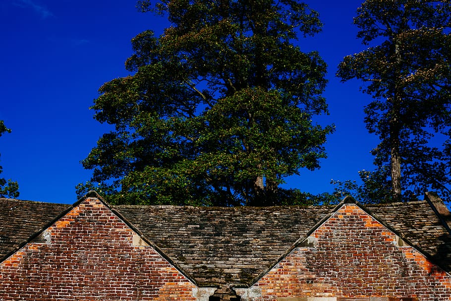 mill, bricks, roof, trees, blue, sky, architecture, built structure, building exterior, tree