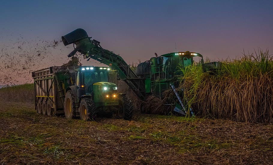 tractor, john deere, sugar, sugar cane, harvesting, australia, farm, farming, agriculture, field