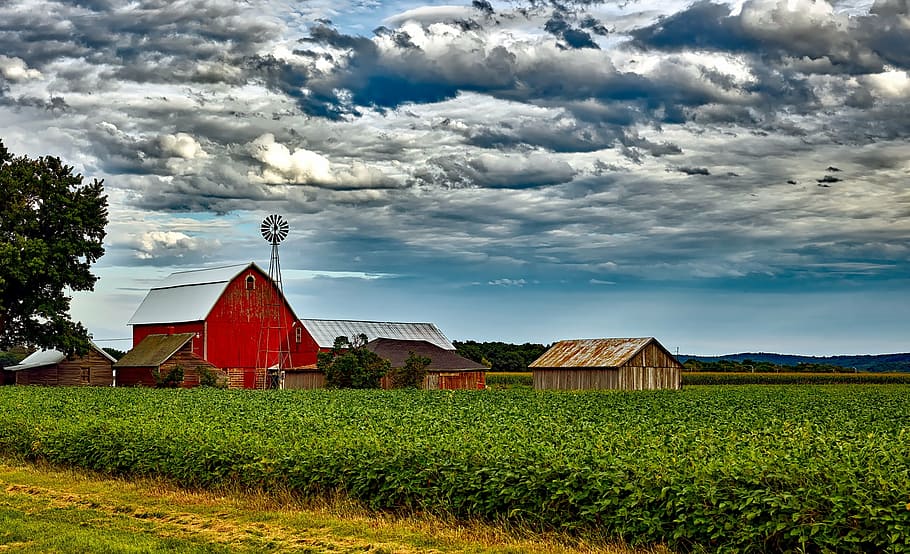 red, barn, surrounded, green, plants, wisconsin, landscape, scenic, sky, clouds
