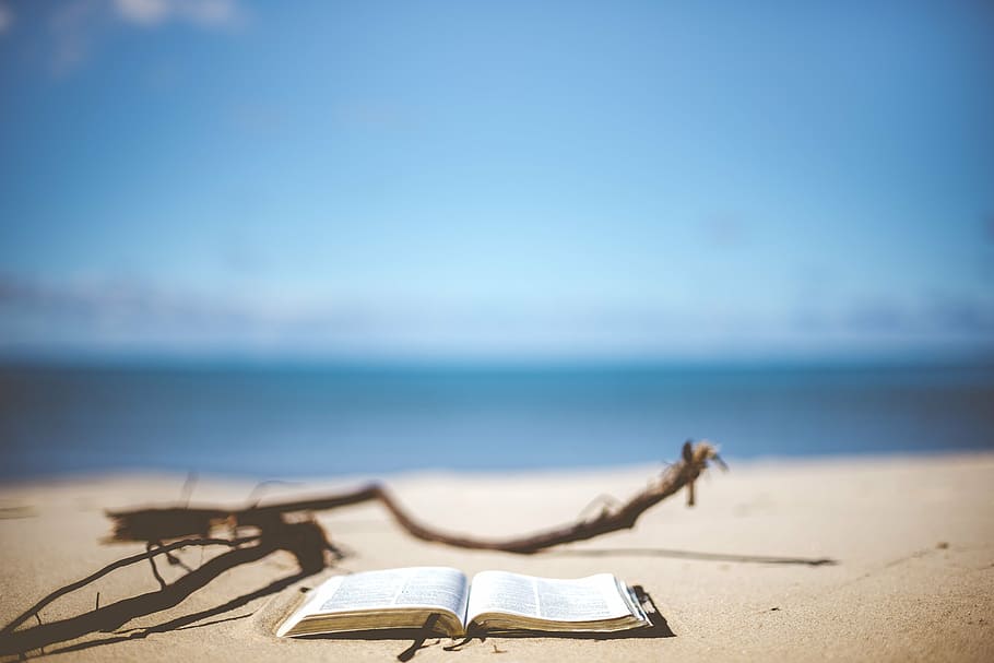 selective, focus photo, opened, book, shoreline, beach, blur, blurry, book pages, close-up