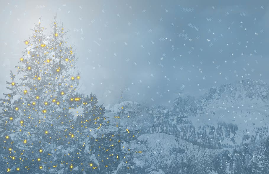 雪が降る, 山岳地帯, クリスマス, クリスマスツリー, クリスマスモチーフ, グリーティングカード, クリスマスカード, モミ, 雪, 気分